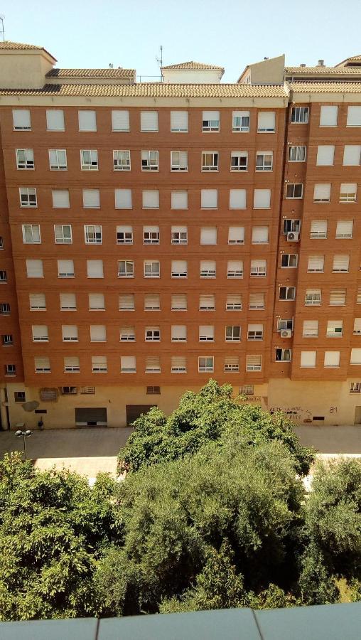 Piso Acogedor Y Alegre En Castellon Lejlighed Castellón de la Plana Eksteriør billede